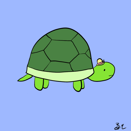 #6 Dawn, the Kindly Turtle