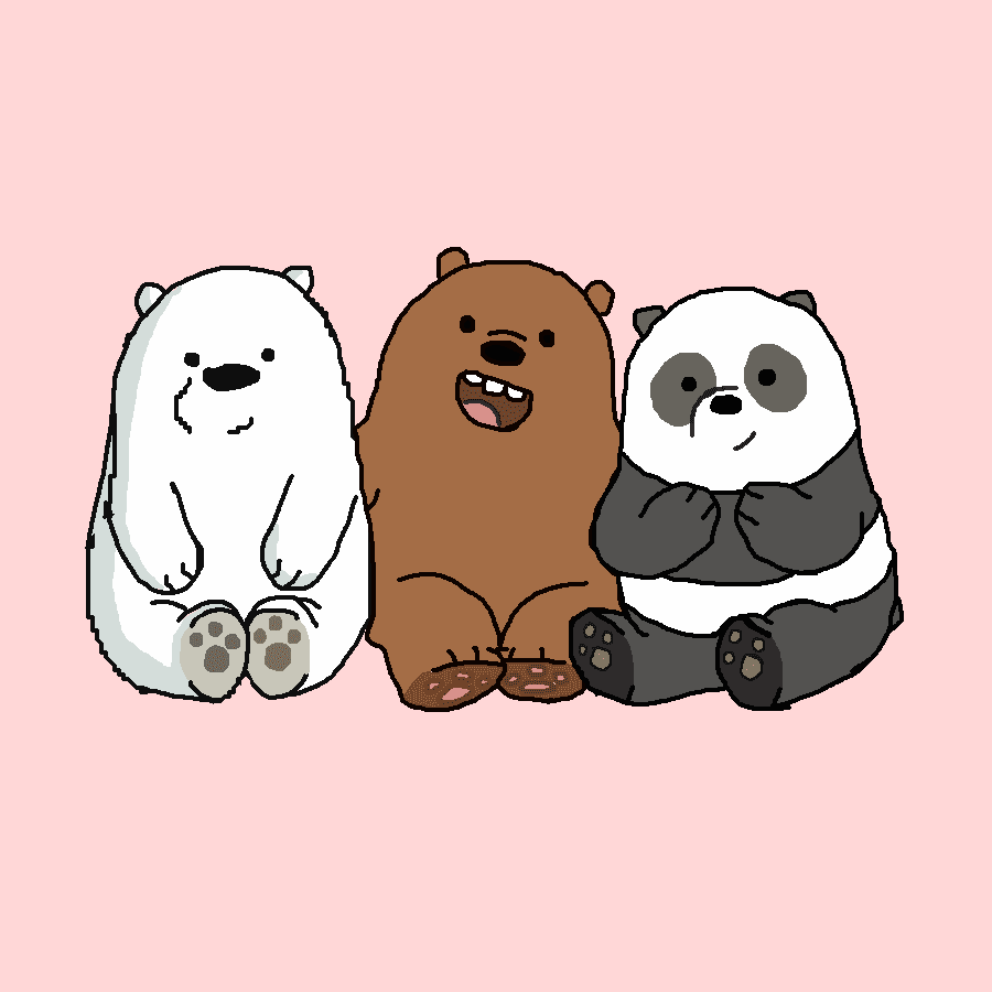 We bare deals bears