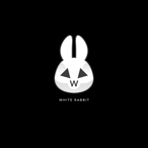 White Rabbit Universe