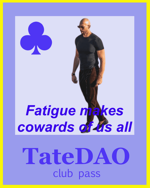 Tate Dao  #477