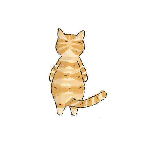 Cat's Journey