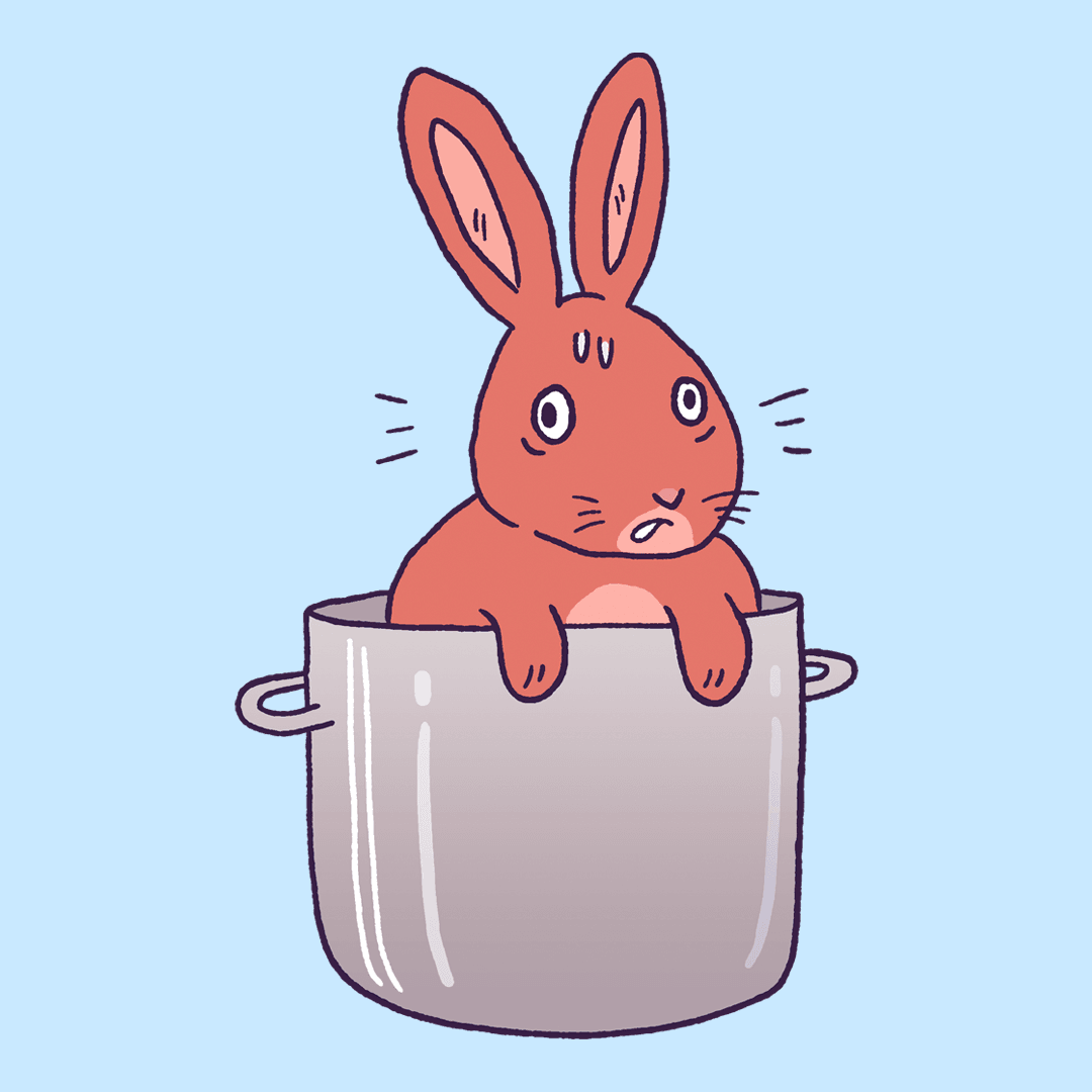 New Zealand Rabbit 1579 Petabytes OpenSea