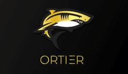 Ortier Capital Vault collection image