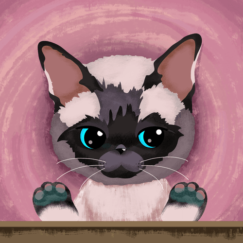 Siamese Cat