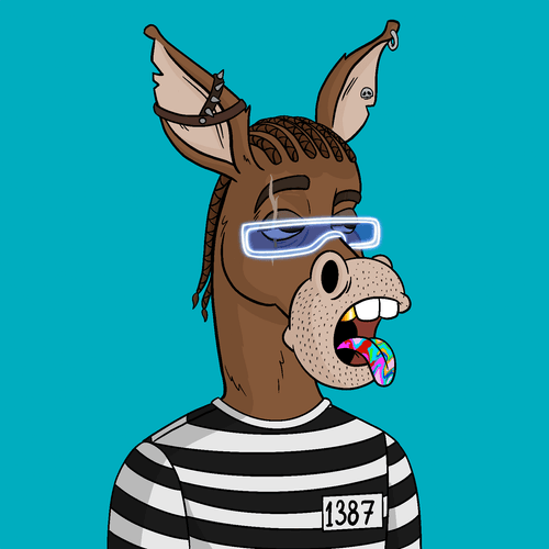 Criminal Donkey 9433