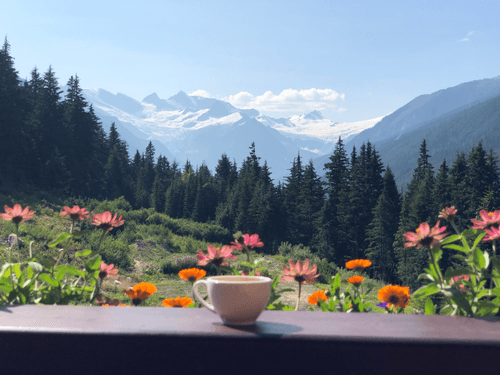 Through a Blogger's Lens