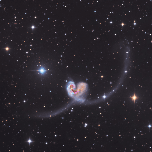 Dance of Love #8