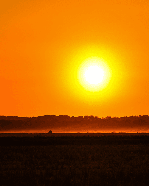 Sunset Reverie