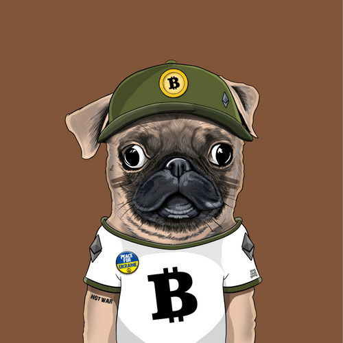 Pug #0025