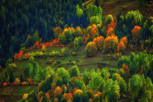 Loneliness in Colors