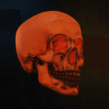 Skulls3D