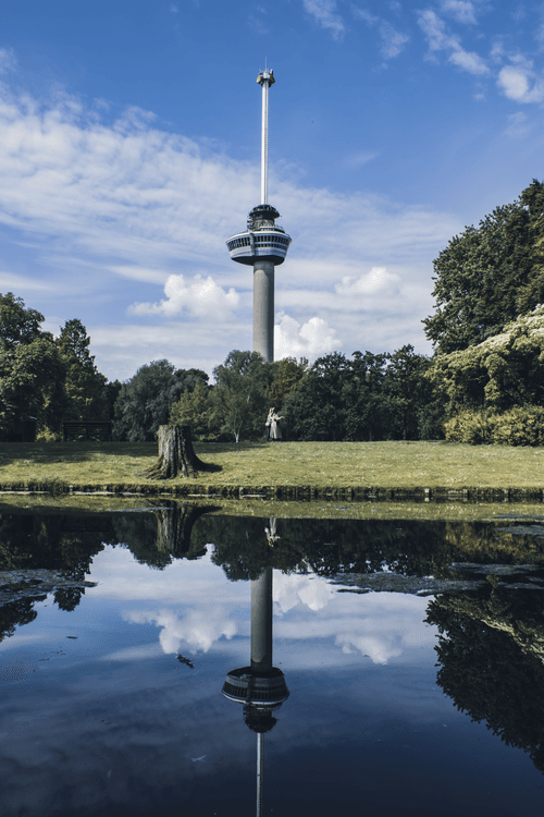 A walk in the park 