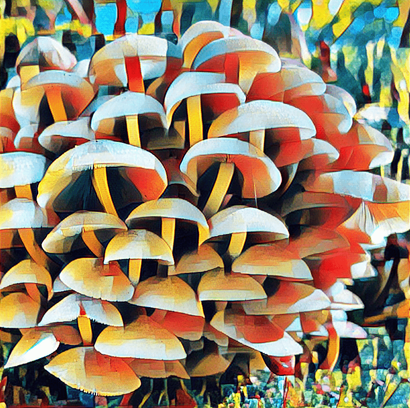 A shortcut to mushrooms collection opensea