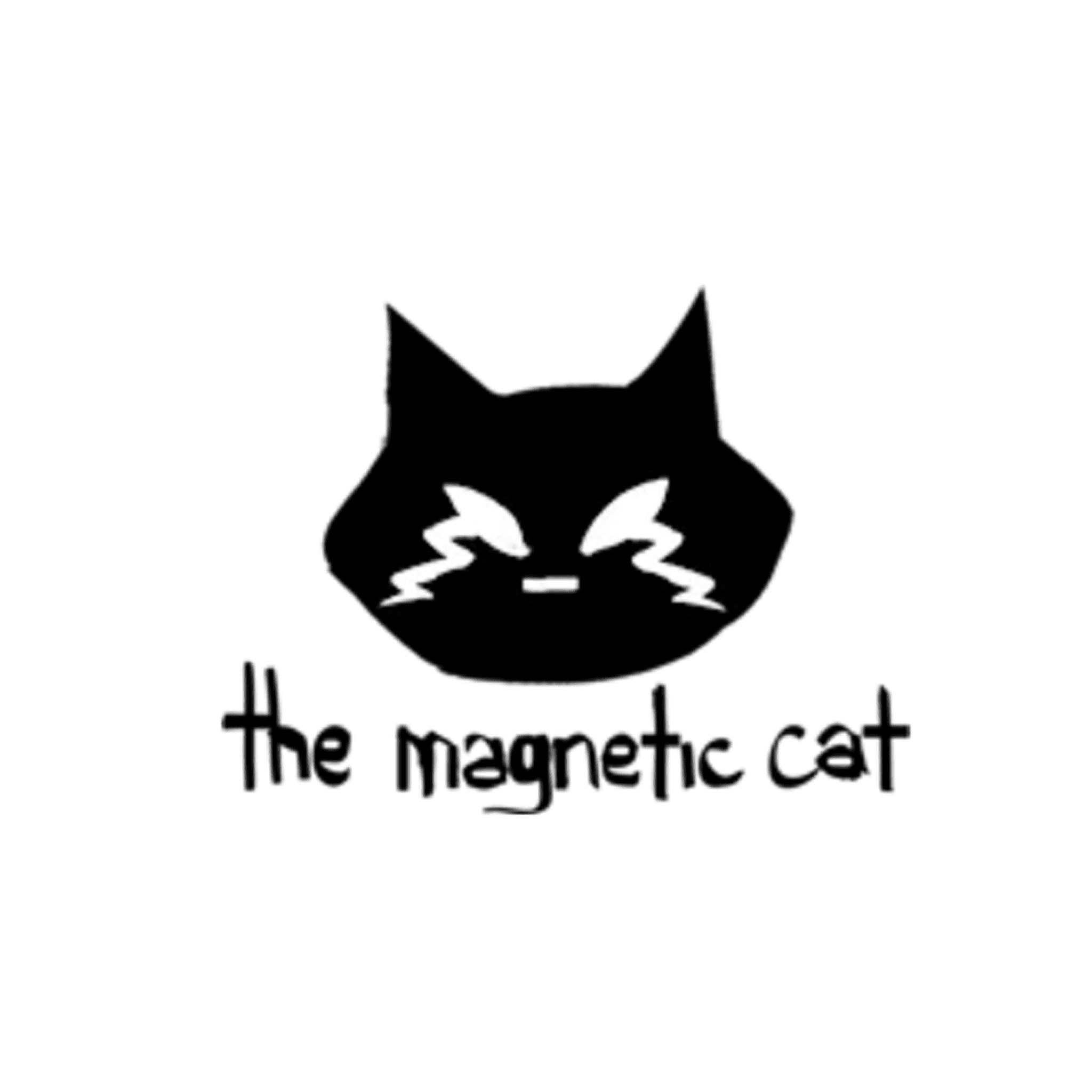 the_magnetic_cat