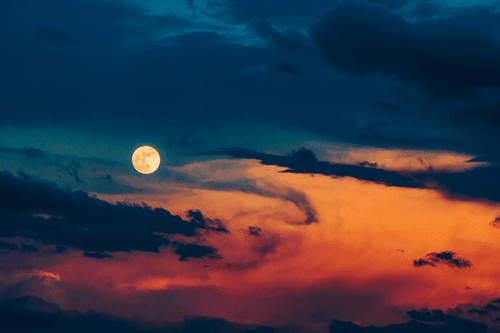 The Mystery of Life