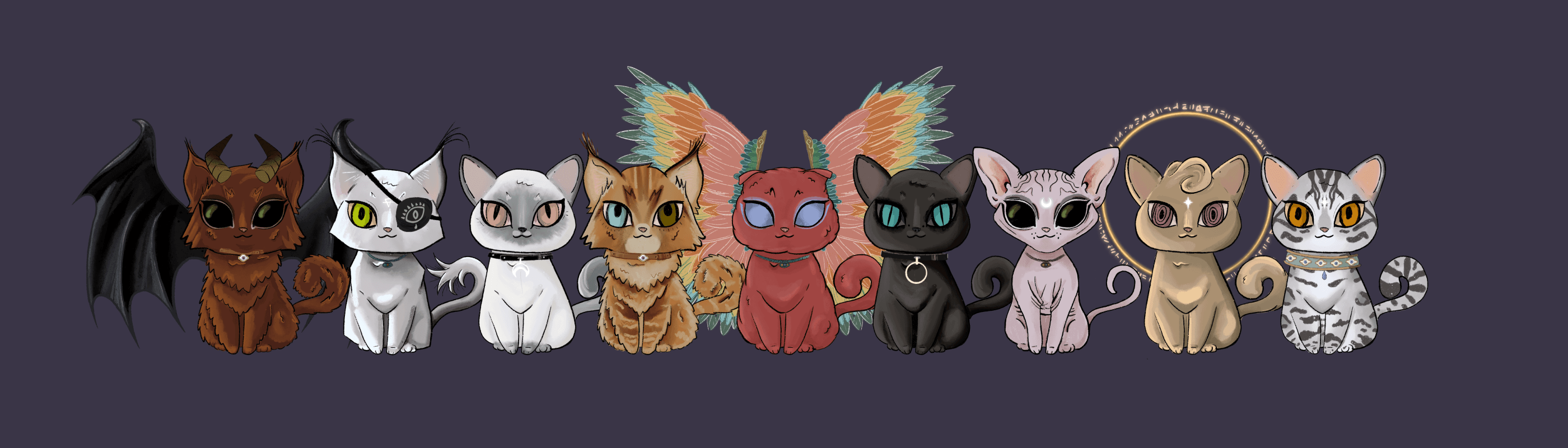 Coven Cats NFT Analytics Holder Data