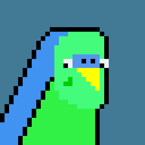 Budgie #290