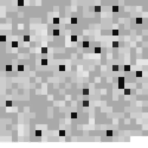 BioNFT of propionibacterium acnes