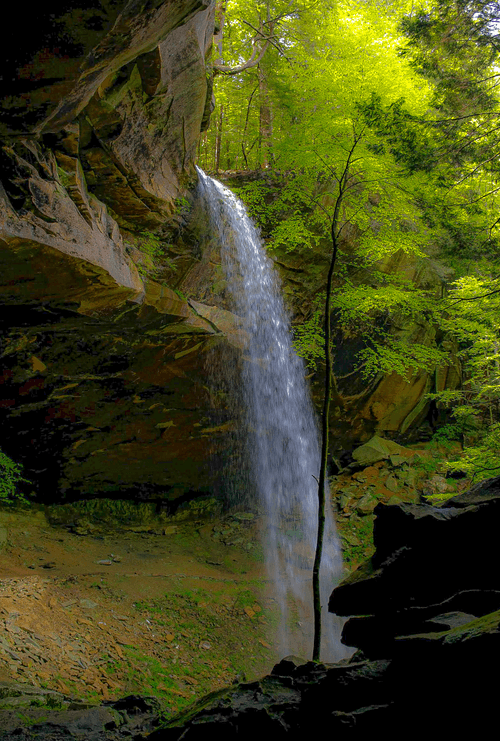 forest falls