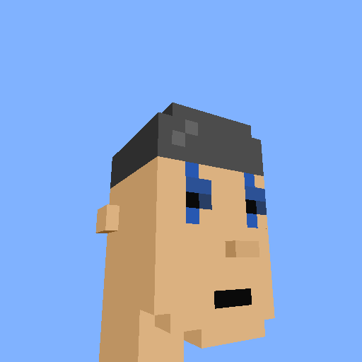 PunkVoxels #3274