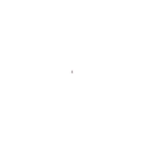 Smol Squid, Big Canvas