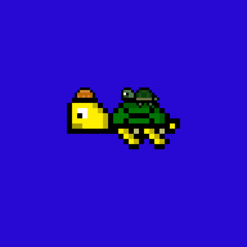 DAO Turtle #1571