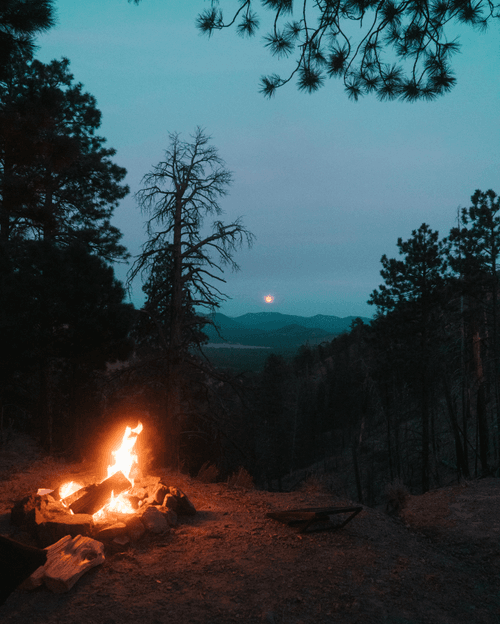 The Camp