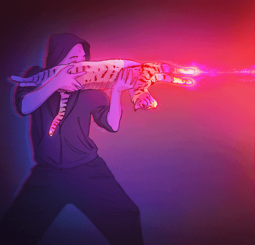 Photonic Cat Gun