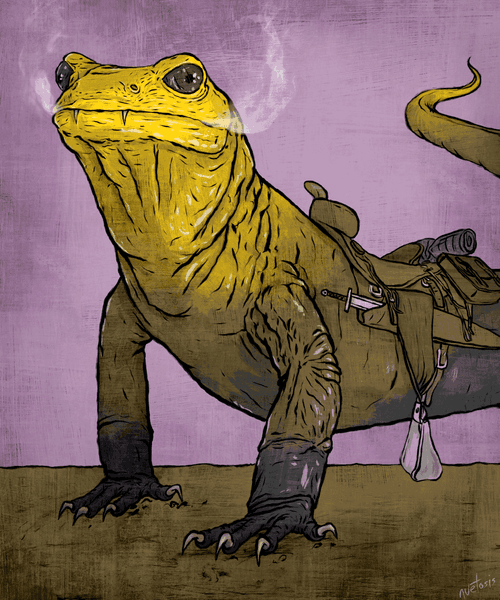Fire Salamander 5