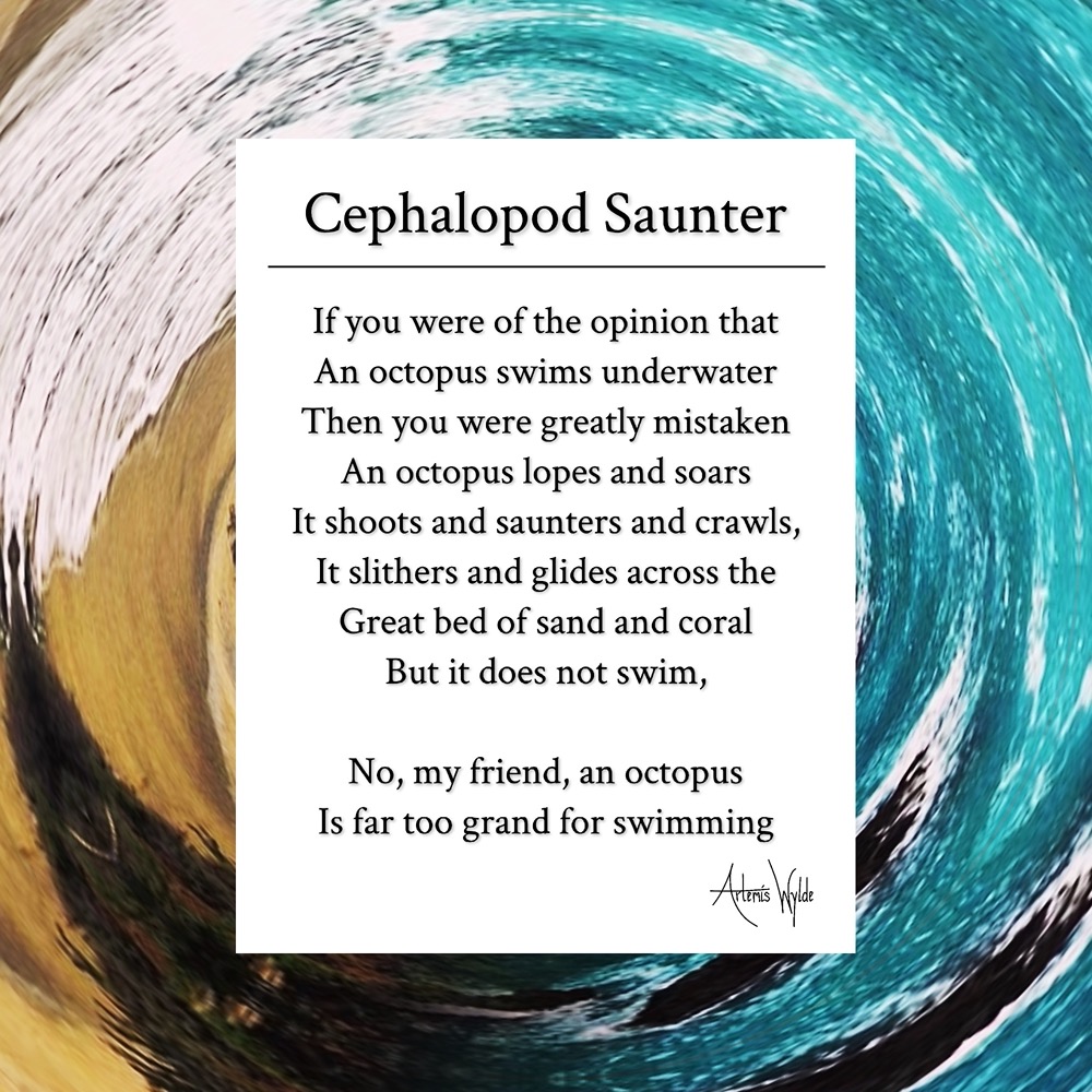 Cephalopod Saunter