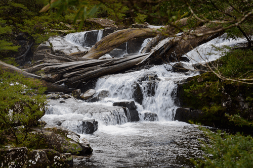 A Land Down Under #33