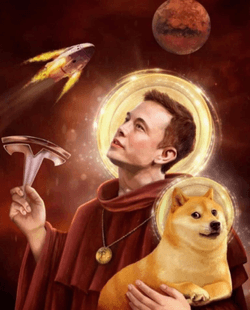 Elon Musk Doge Meme Collection collection image