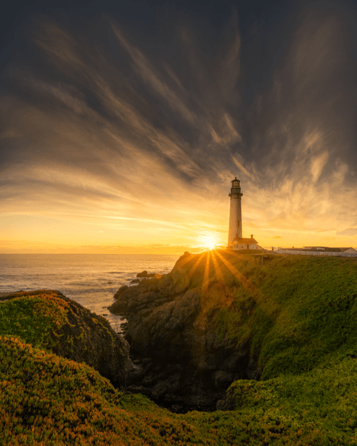 Star of the Light