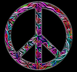 Peace Train collection image
