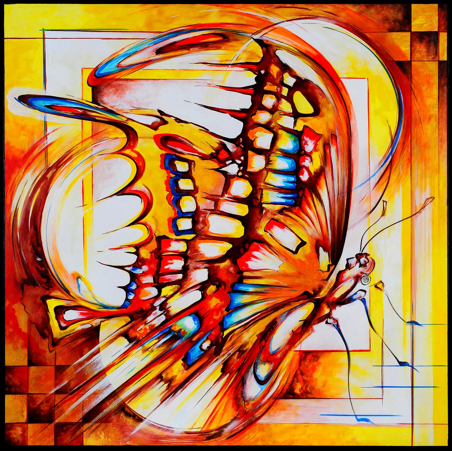Colorful butterfly 100x100 cm