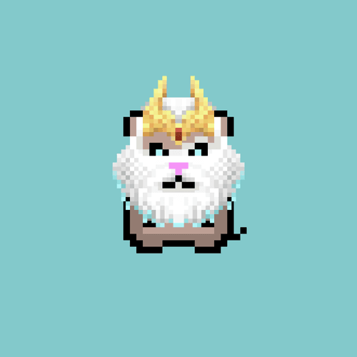 Hamster #71