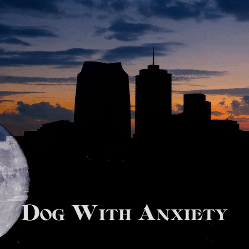 Sky ills - Dog with Anxiety- 11/11