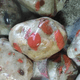 PUDDING STONE PUDDINGSTONE GOWGANDA TILLITE AGATE AND OTHER FANCY ROCKS LAPIDARY