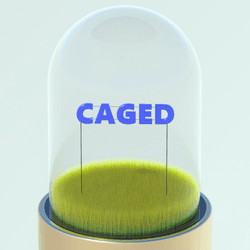 Caged collection image