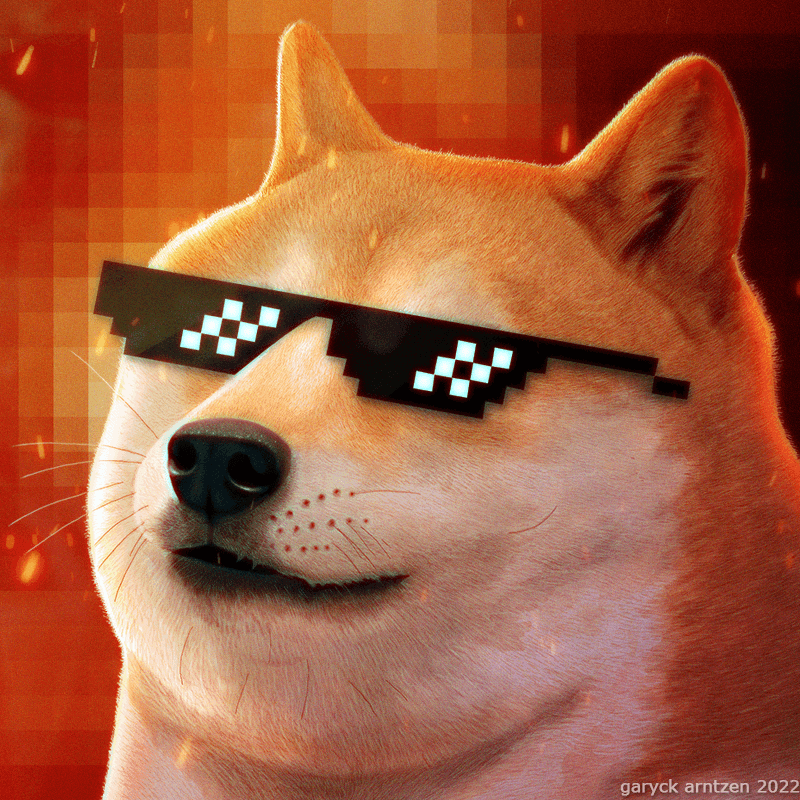Deal With It Doge