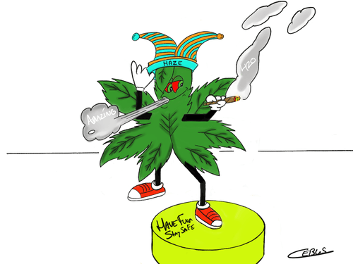 Weedleaf420 Amazing Haze
