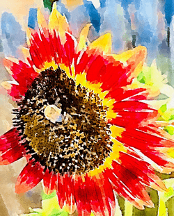 watercolor flowers V3 collection image