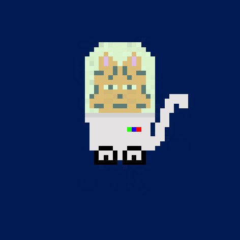 astronaut cat