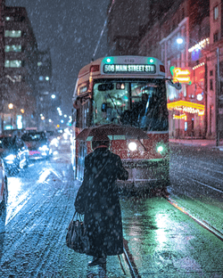 Dark Freeze-A Toronto Snowy Nights Collection collection image