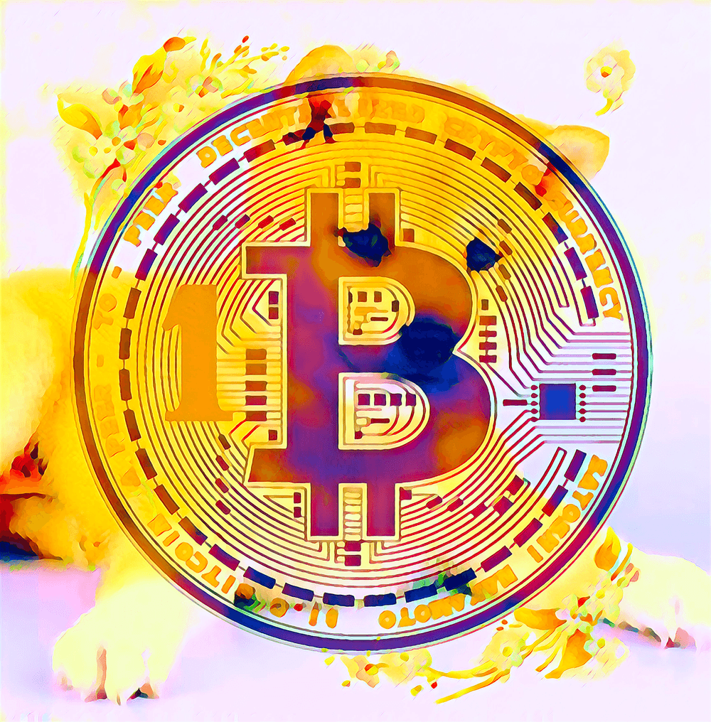 Bitcoin 28 Bitcoin Monetary Trust Opensea