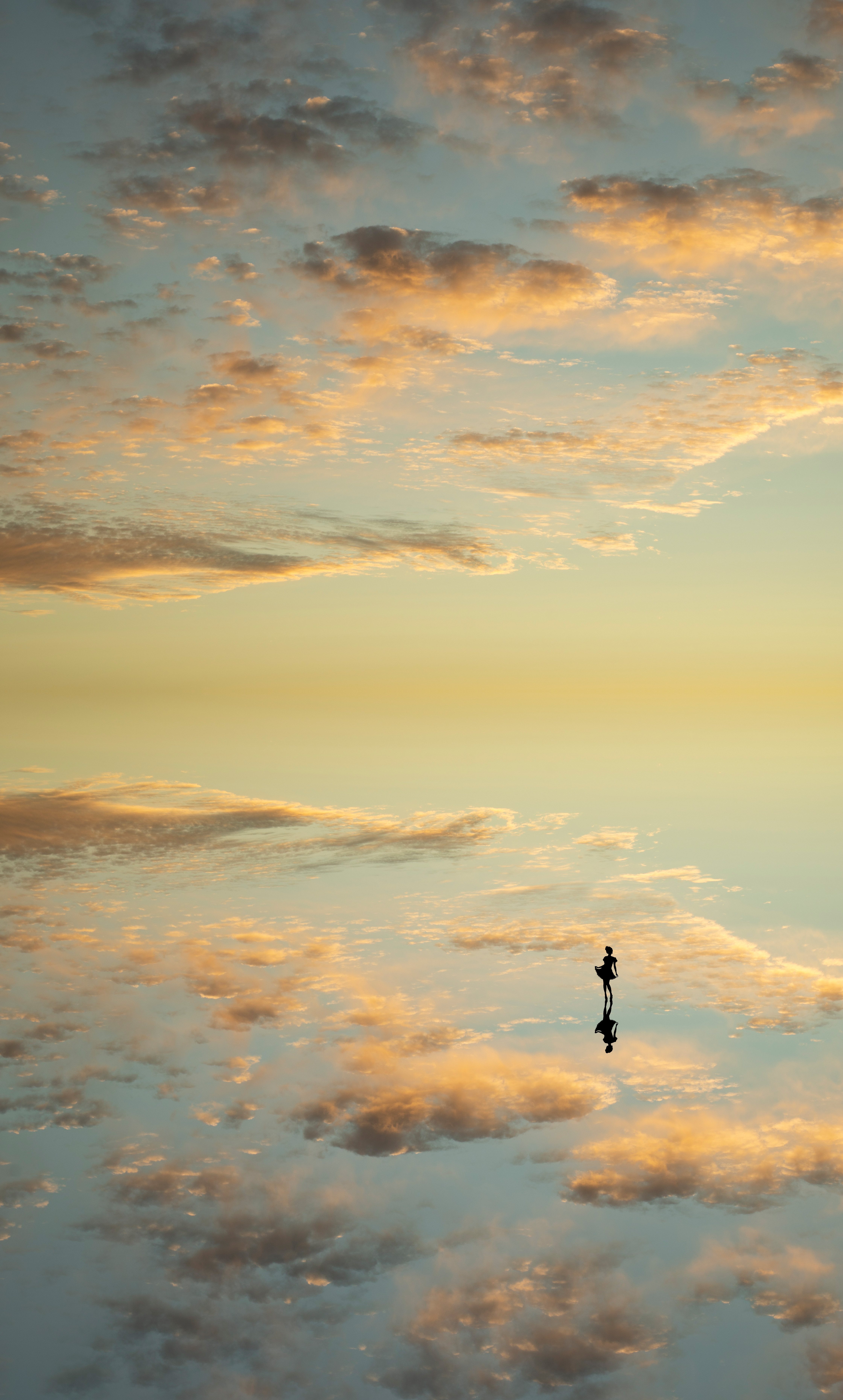 Reflection #21