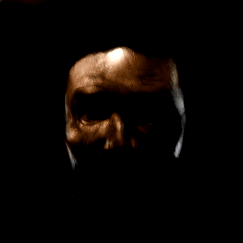 stoopid portraits