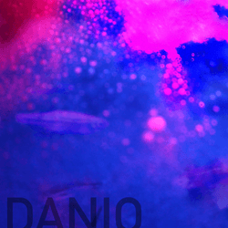 Danio collection image