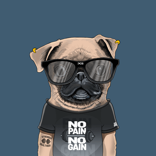 Pug #0042