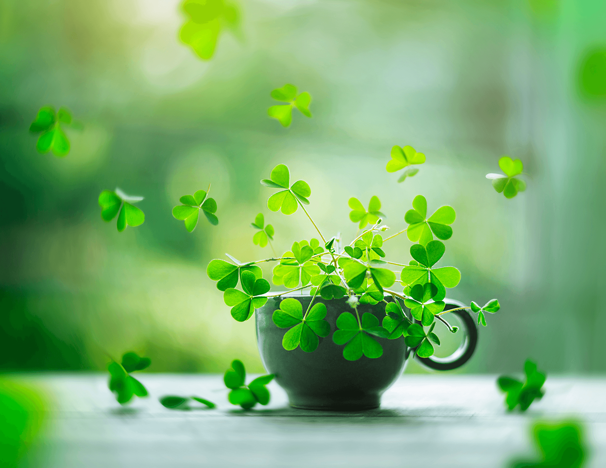 #167 - The Cup of Luck